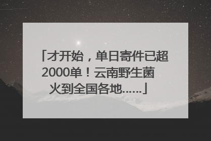 才开始，单日寄件已超2000单！云南野生菌火到全国各地……