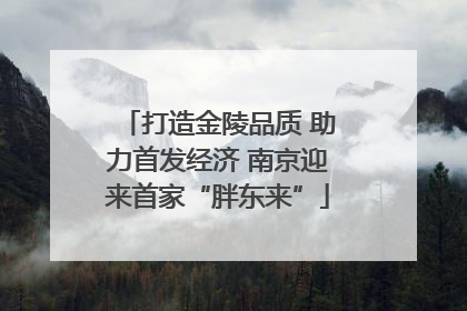 打造金陵品质 助力首发经济 南京迎来首家“胖东来”