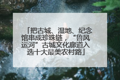把古城、湿地、纪念馆串成珍珠链，“鲁风运河”古城文化廊道入选十大最美农村路
