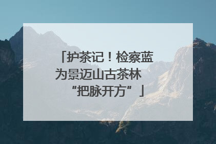 护茶记！检察蓝为景迈山古茶林 “把脉开方”
