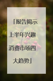 报告揭示上半年兴趣消费市场四大趋势