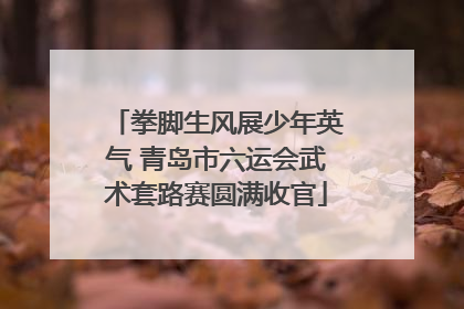 拳脚生风展少年英气 青岛市六运会武术套路赛圆满收官