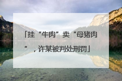 挂“牛肉”卖“母猪肉”，许某被判处刑罚