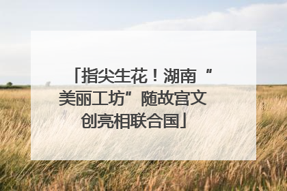 指尖生花！湖南“美丽工坊”随故宫文创亮相联合国