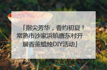 指尖芳华，香约初夏！常熟市沙家浜镇唐东村开展香薰蜡烛DIY活动