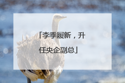 李季履新，升任央企副总