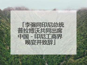 李强同印尼总统普拉博沃共同出席中国－印尼工商界晚宴并致辞