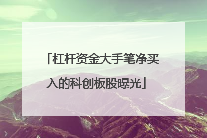 杠杆资金大手笔净买入的科创板股曝光