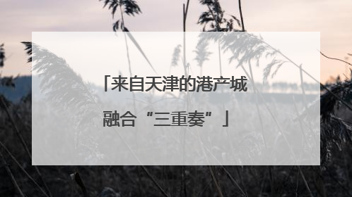 来自天津的港产城融合“三重奏”
