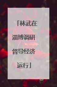 林武在淄博调研督导经济运行