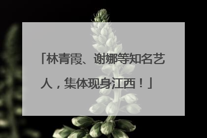 林青霞、谢娜等知名艺人，集体现身江西！