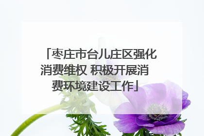 枣庄市台儿庄区强化消费维权 积极开展消费环境建设工作