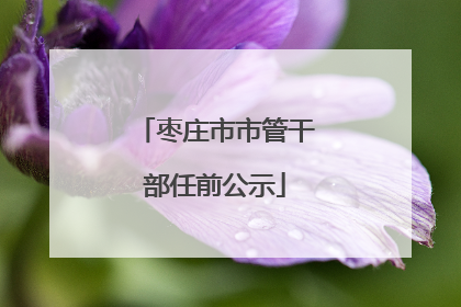 枣庄市市管干部任前公示
