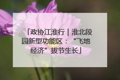 政协江淮行｜淮北段园新型功能区：“飞地经济”拔节生长