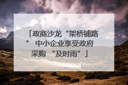 政商沙龙“架桥铺路” 中小企业享受政府采购 “及时雨”
