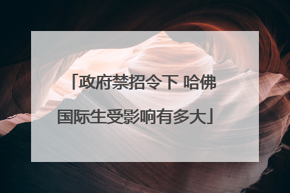 政府禁招令下 哈佛国际生受影响有多大