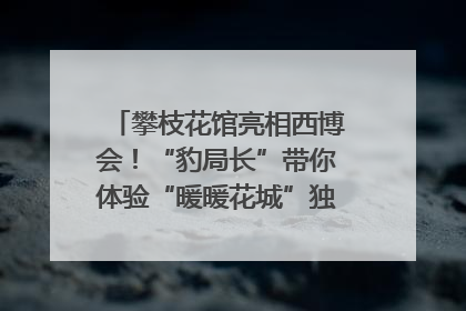 攀枝花馆亮相西博会！“豹局长”带你体验“暖暖花城”独特魅力｜西博视界