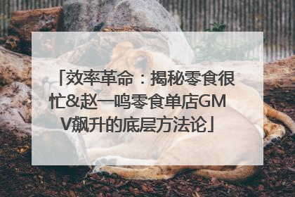 效率革命：揭秘零食很忙&赵一鸣零食单店GMV飙升的底层方法论