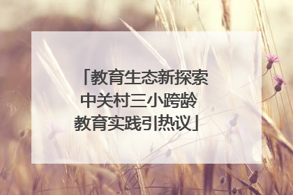 教育生态新探索 中关村三小跨龄教育实践引热议
