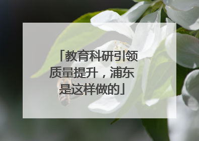 教育科研引领质量提升，浦东是这样做的