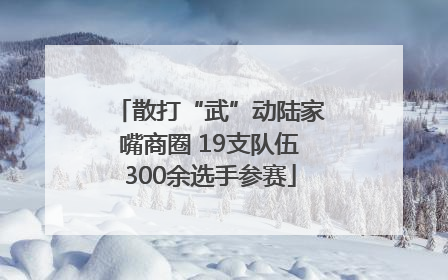 散打“武”动陆家嘴商圈 19支队伍300余选手参赛