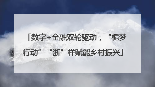 数字+金融双轮驱动，“栀梦行动”“浙”样赋能乡村振兴