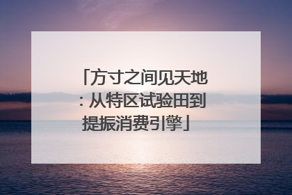 方寸之间见天地：从特区试验田到提振消费引擎