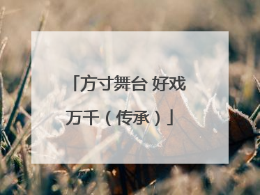 方寸舞台 好戏万千（传承）
