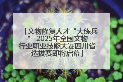 文物修复人才“大练兵” 2025年全国文物行业职业技能大赛四川省选拔赛即将启幕