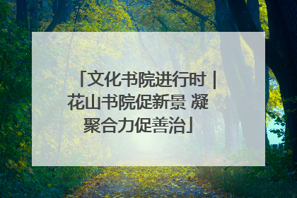 文化书院进行时｜花山书院促新景 凝聚合力促善治