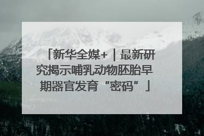 新华全媒+｜最新研究揭示哺乳动物胚胎早期器官发育“密码”