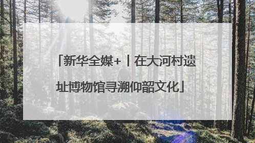 新华全媒+丨在大河村遗址博物馆寻溯仰韶文化