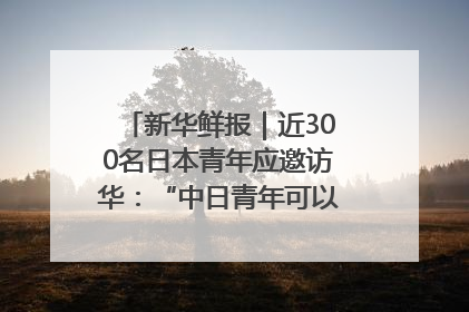 新华鲜报｜近300名日本青年应邀访华：“中日青年可以创造更好的未来”
