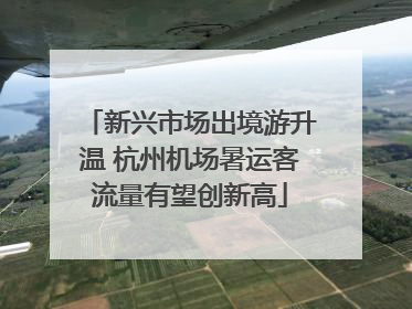 新兴市场出境游升温 杭州机场暑运客流量有望创新高