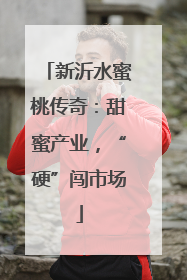 新沂水蜜桃传奇：甜蜜产业，“硬”闯市场