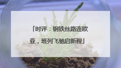 时评：钢铁丝路连欧亚，班列飞驰启新程