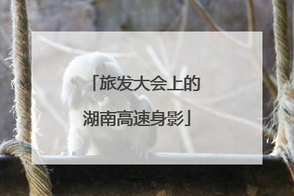 旅发大会上的湖南高速身影