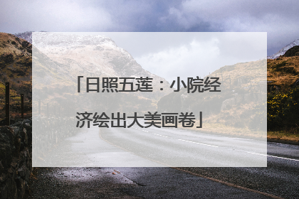 日照五莲：小院经济绘出大美画卷