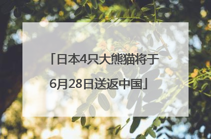 日本4只大熊猫将于6月28日送返中国