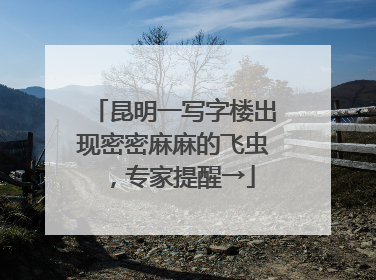 昆明一写字楼出现密密麻麻的飞虫，专家提醒→
