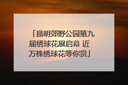 昆明郊野公园第九届绣球花展启幕 近万株绣球花等你赏