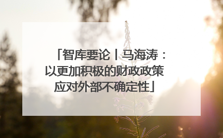 智库要论丨马海涛：以更加积极的财政政策应对外部不确定性