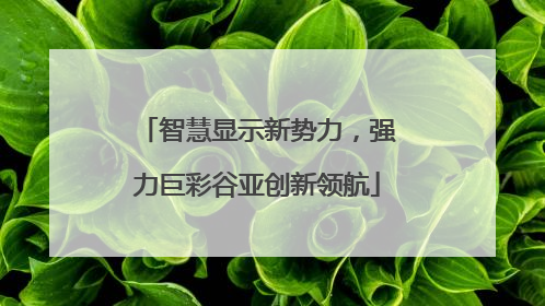 智慧显示新势力，强力巨彩谷亚创新领航