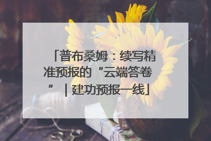 普布桑姆：续写精准预报的“云端答卷”｜建功预报一线