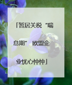 暂居关税“喘息期” 欧盟企业忧心忡忡