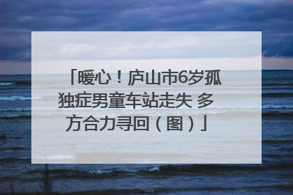 暖心！庐山市6岁孤独症男童车站走失 多方合力寻回（图）