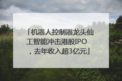 机器人控制器龙头仙工智能冲击港股IPO，去年收入超3亿元
