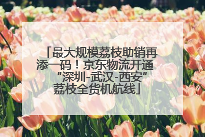 最大规模荔枝助销再添一码！京东物流开通“深圳-武汉-西安” 荔枝全货机航线