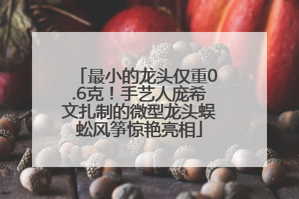 最小的龙头仅重0.6克！手艺人庞希文扎制的微型龙头蜈蚣风筝惊艳亮相