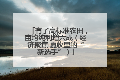 有了高标准农田，亩均纯利增六成（经济聚焦·夏收里的“新选手”）